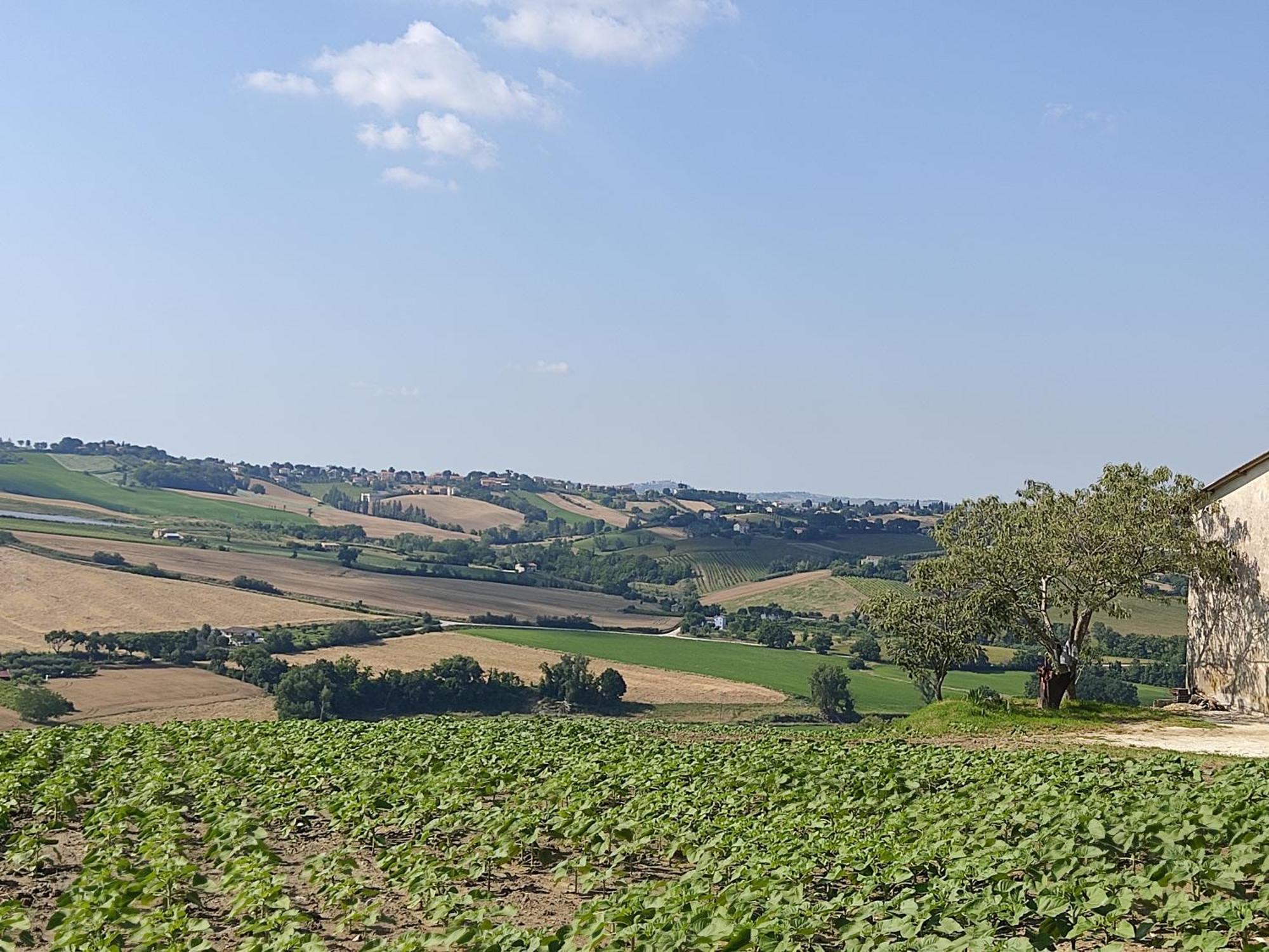 Casa Borgo Fonte Villa Castelleone di Suasa Bagian luar foto