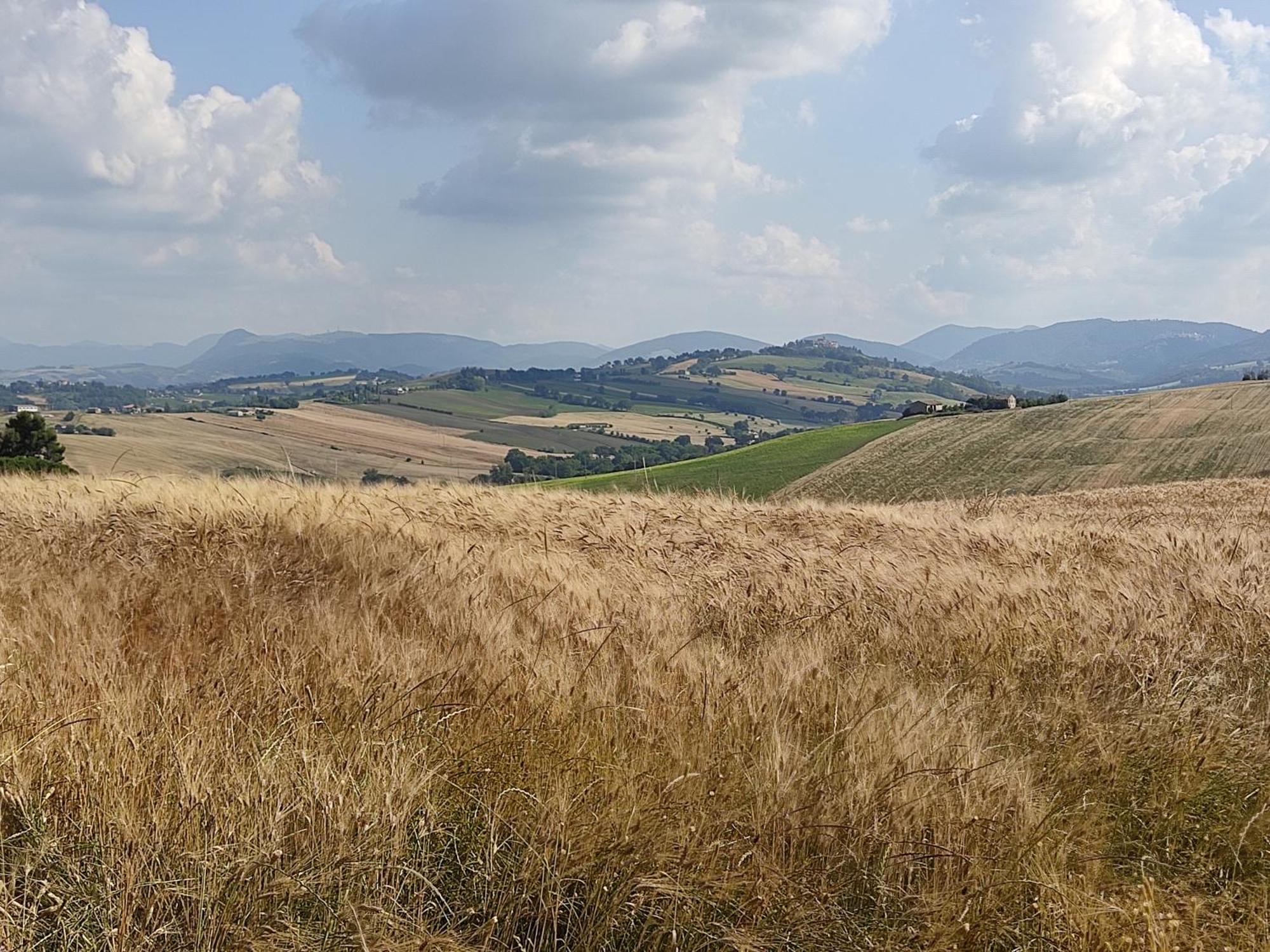 Casa Borgo Fonte Villa Castelleone di Suasa Bagian luar foto