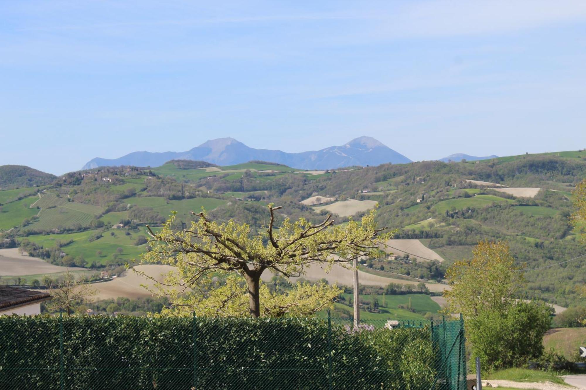Casa Borgo Fonte Villa Castelleone di Suasa Bagian luar foto
