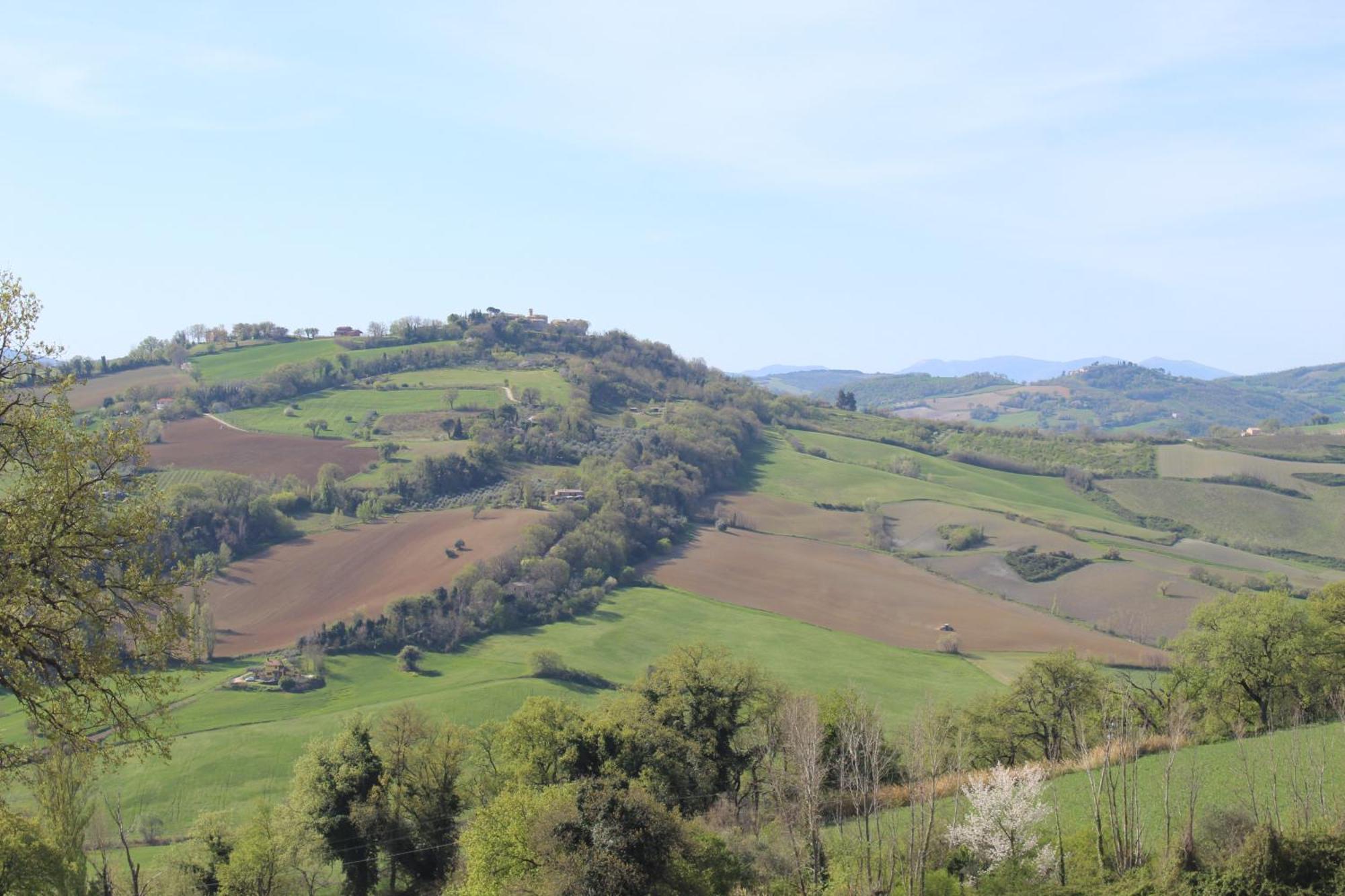 Casa Borgo Fonte Villa Castelleone di Suasa Bagian luar foto